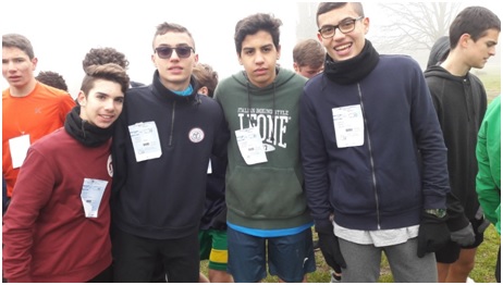 Immagine 3