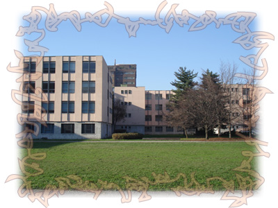 DeNicola scuola